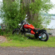 Illustration for article titled Pics from the Curbside: 2019-06-29 and 30 from Wolfe Island and Portsmouth Olympic Harbour